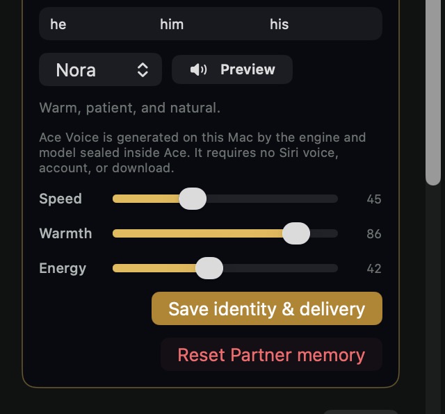 Partner Mode controls inside Ace.